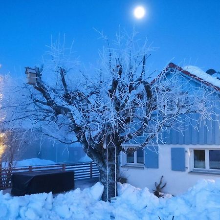Knuschbrhaisle Oberreute Zewnętrze zdjęcie