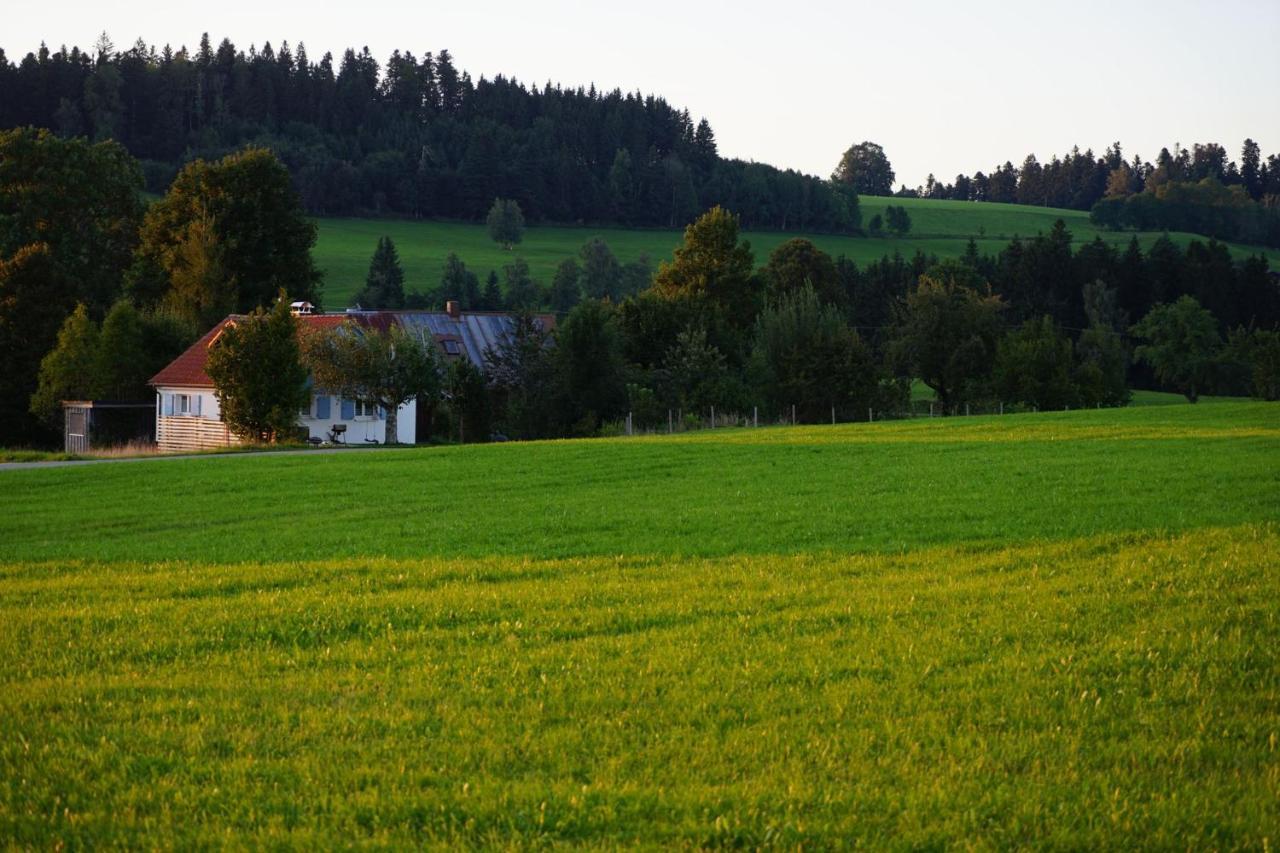 Knuschbrhaisle Oberreute Zewnętrze zdjęcie